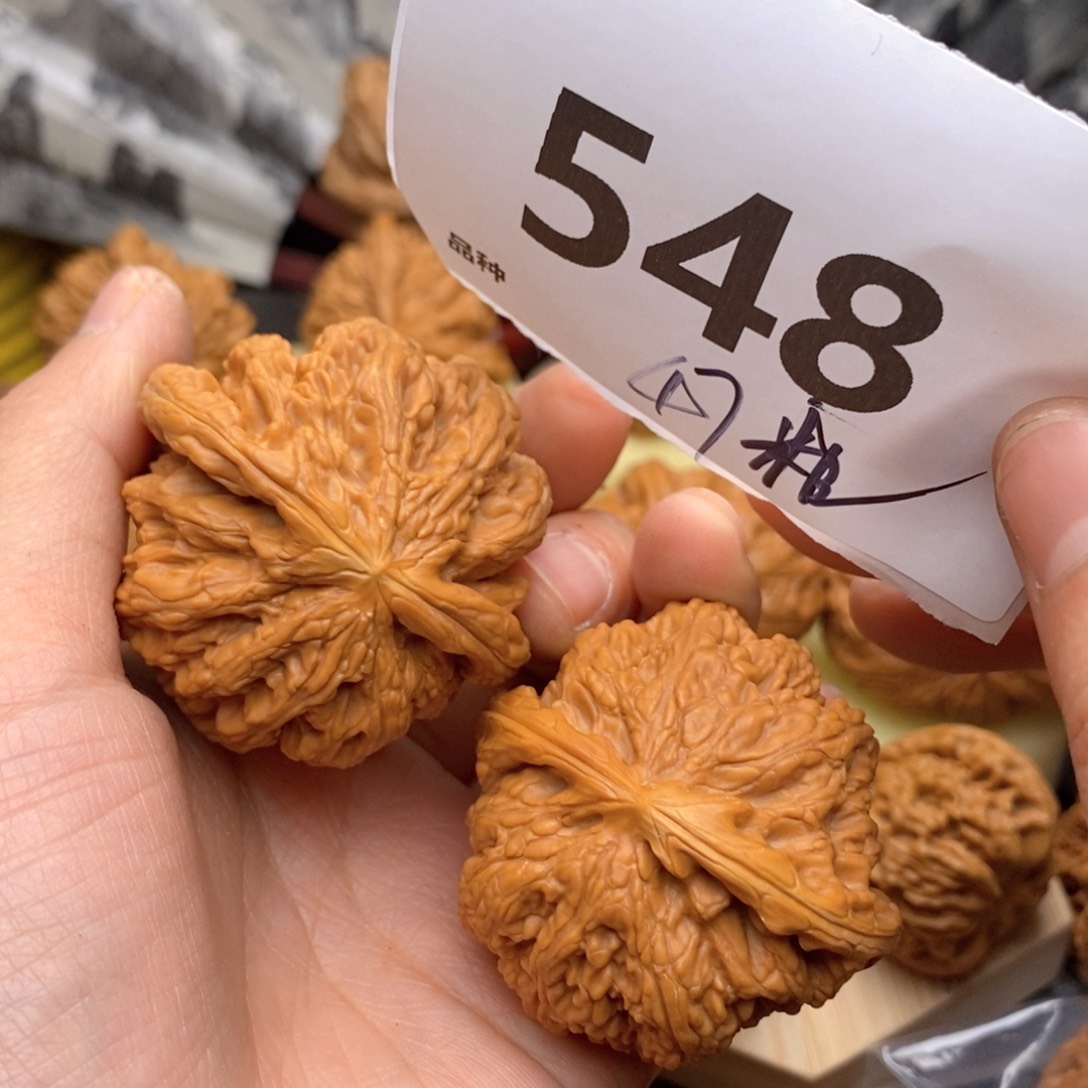 文玩核桃吊坠548号47粗筋