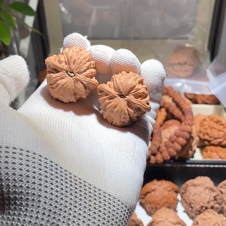 明*35平谷四喜丸子狮子头，不退不换