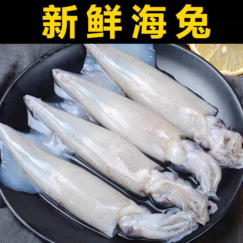 【4斤装】生海兔海兔子生海兔鱼冷冻鱿鱼新鲜墨斗鱼一斤10-16条左右
