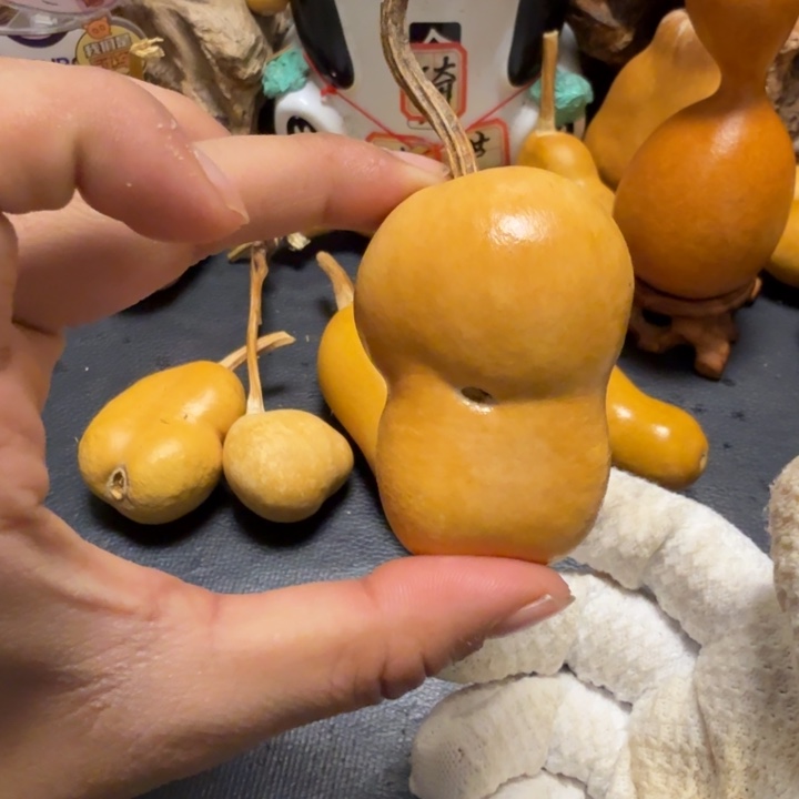 童***机66……………………………………