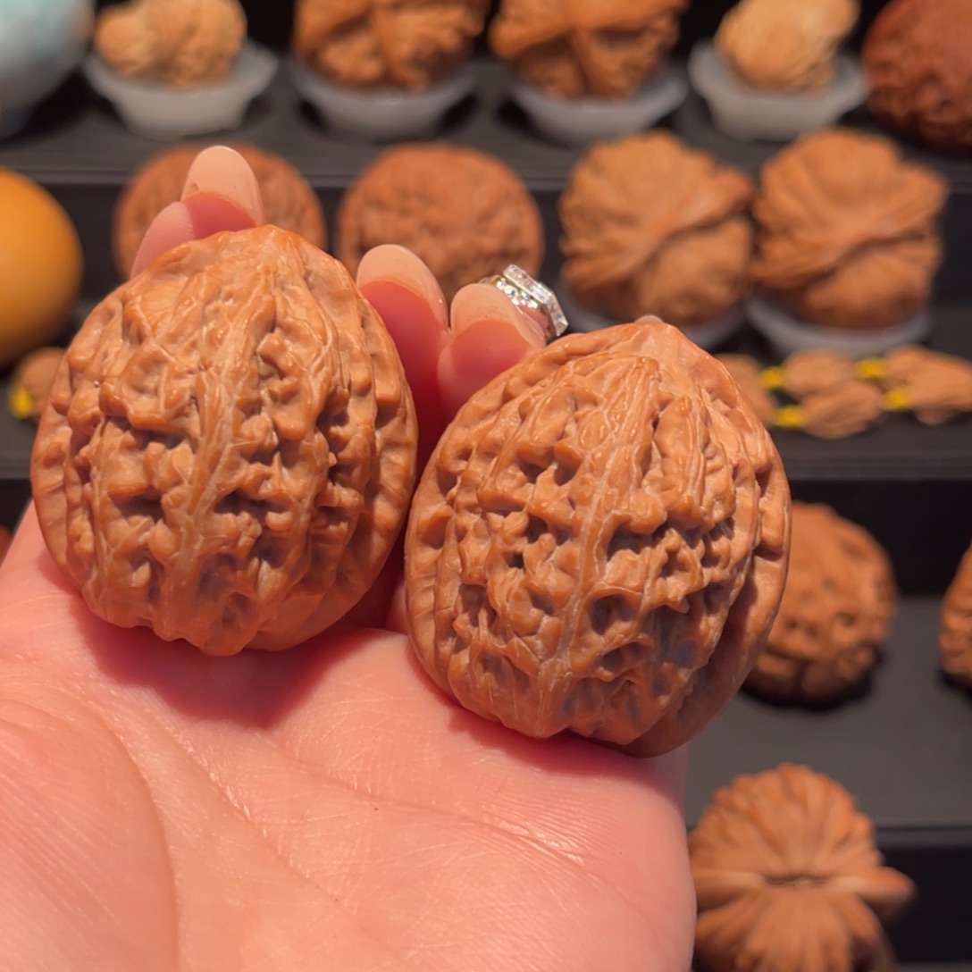 红锦鲤39，精品，毕业