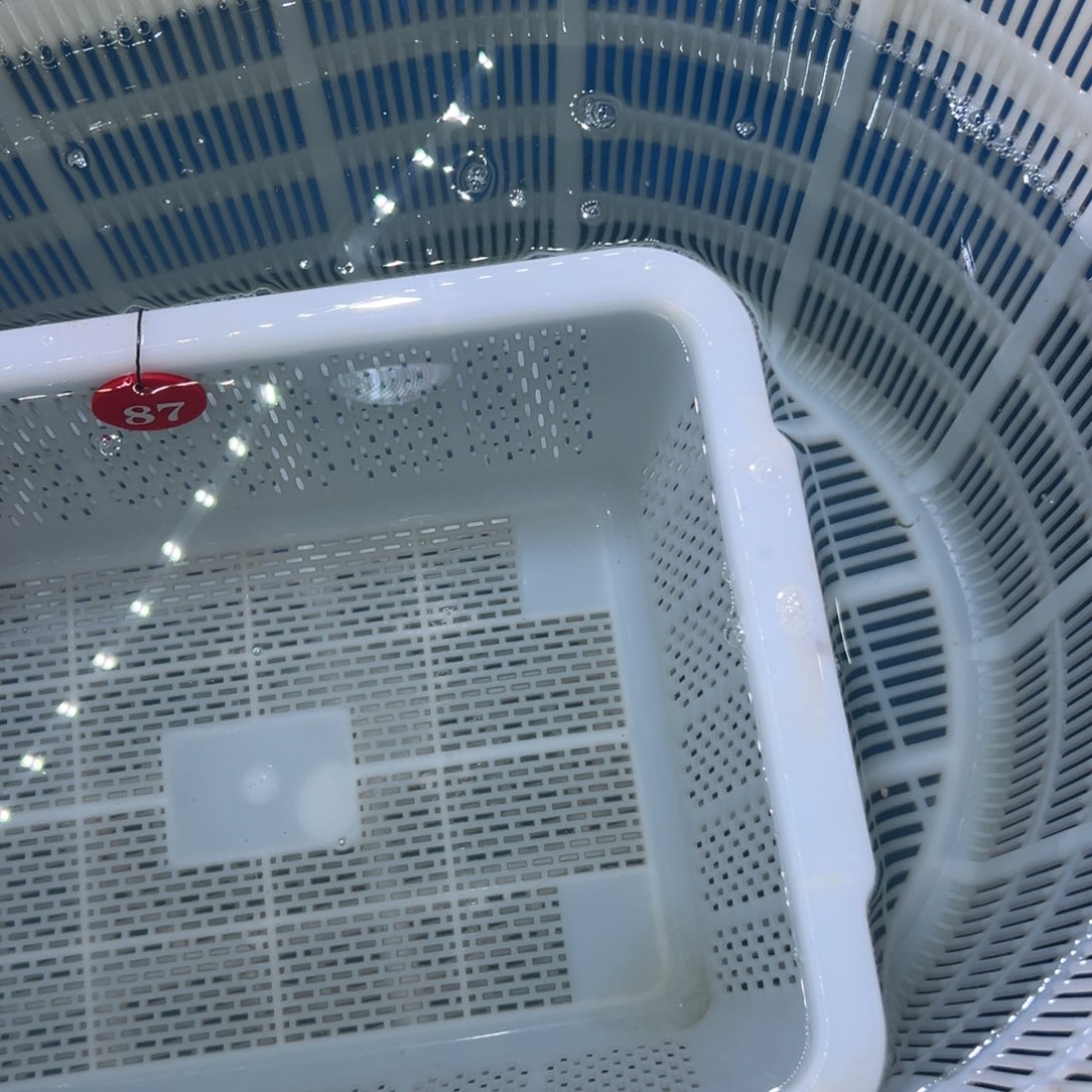 吴***忧海水鱼包邮者将自己与自己相关联