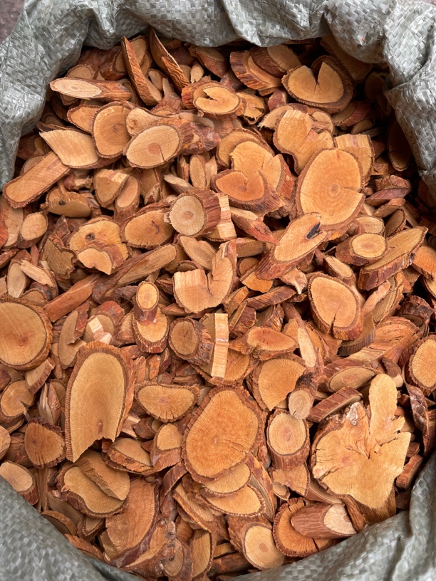 祛湿王 利筋藤 铜皮铁骨 桐叶藤 新货包邮