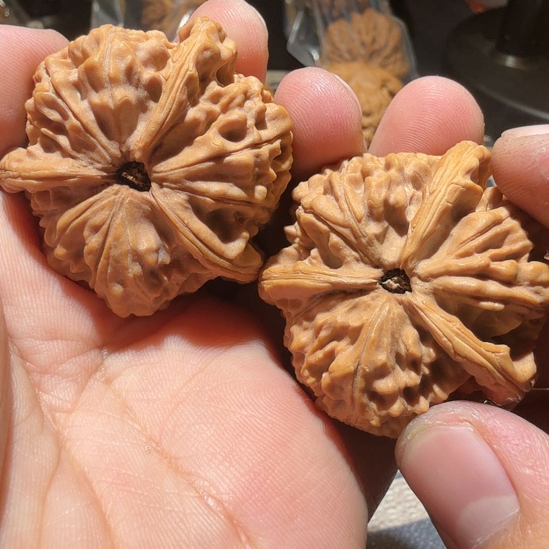 文玩核桃把件玉玺