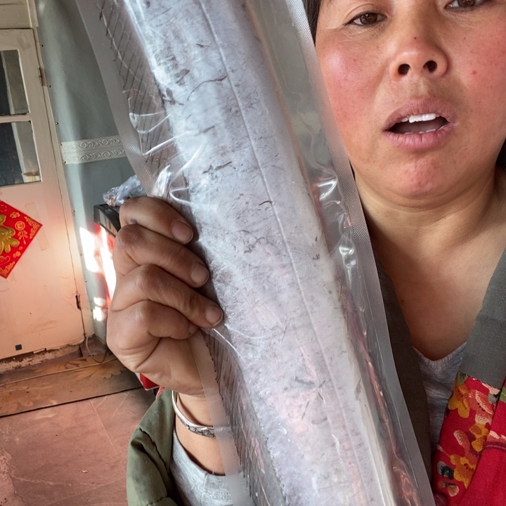 驾***人中国大陆渤海湾野生刀鱼1.4斤1条