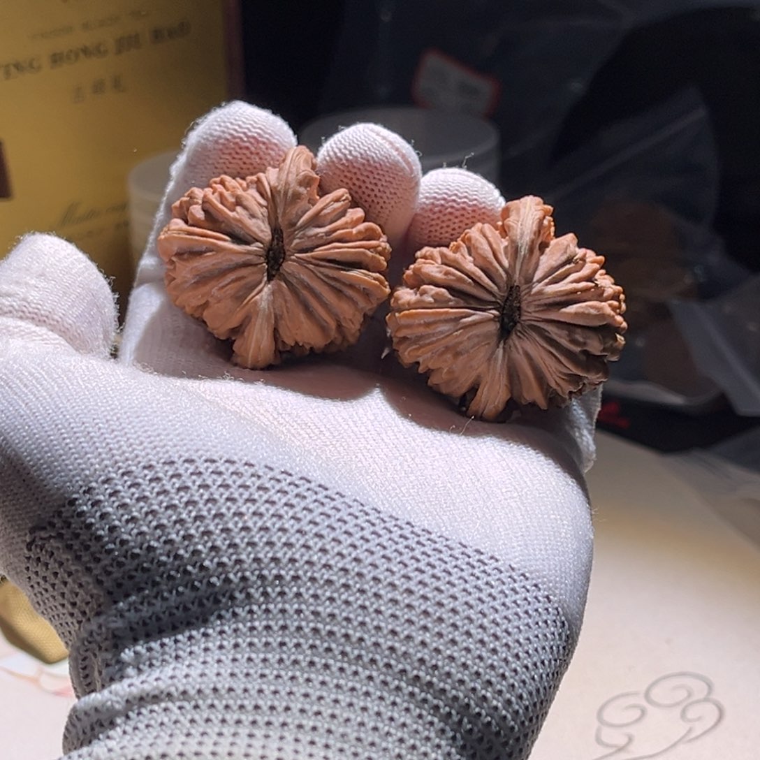 解***.楼子 楼子 楼子。楼子。