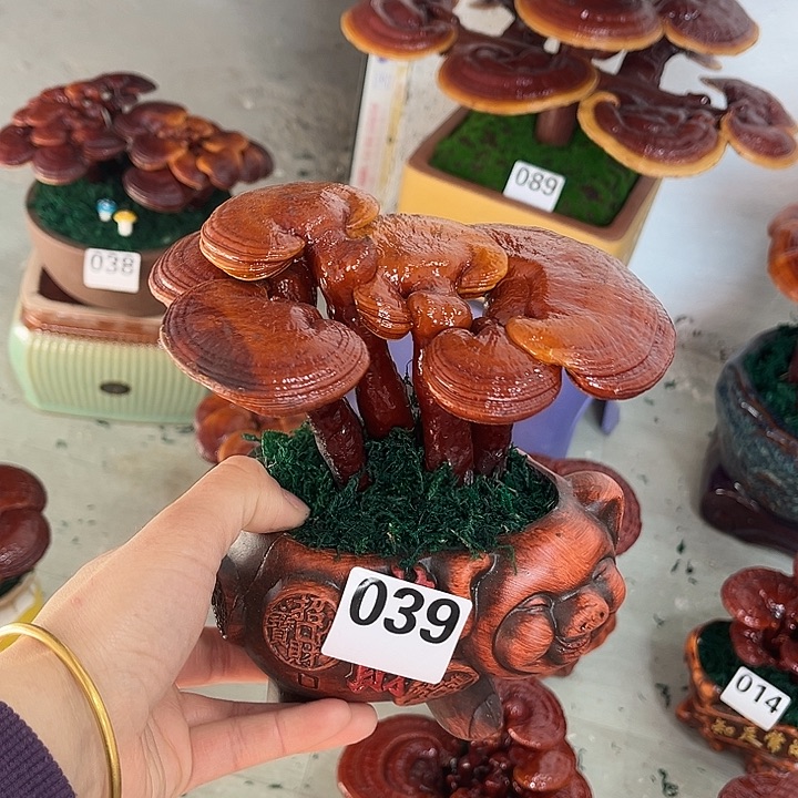 全部花朵8888888888888888888888