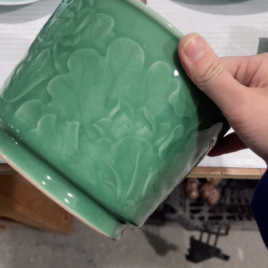 盘哈哈哈哈哈哈哈哈