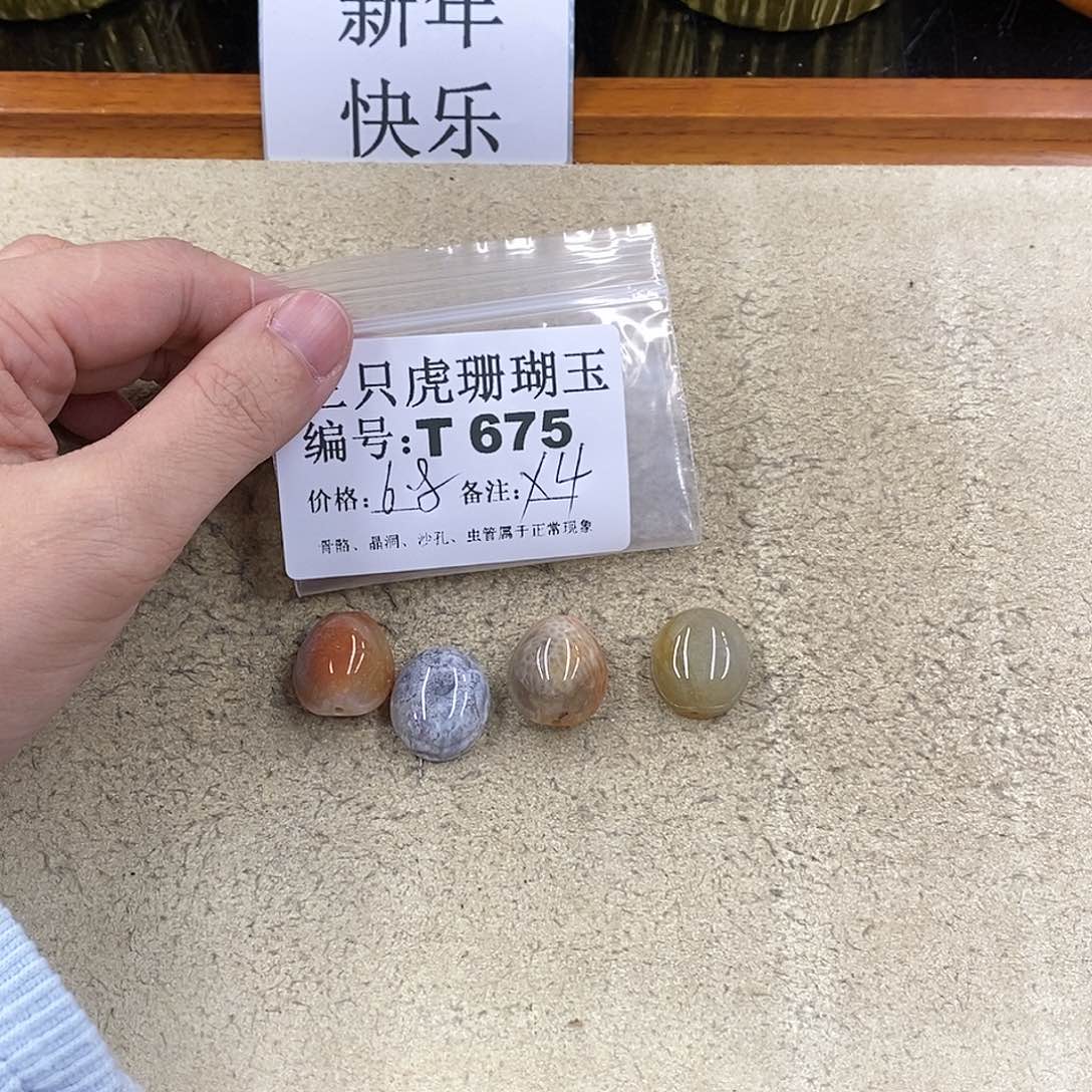 硅化珊瑚（珊瑚玉）1未镶嵌蔷*