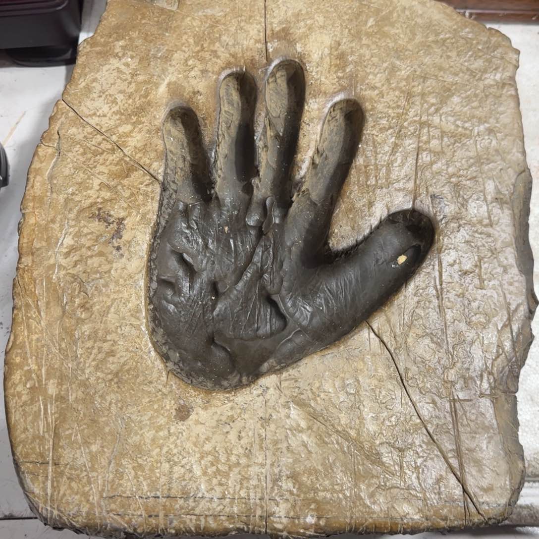 紫砂茶杯厚****8精品摆件家居摆件