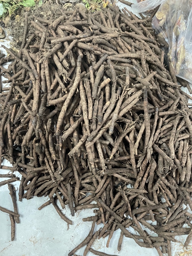 贵州野生新鲜独角仙毛500g包邮