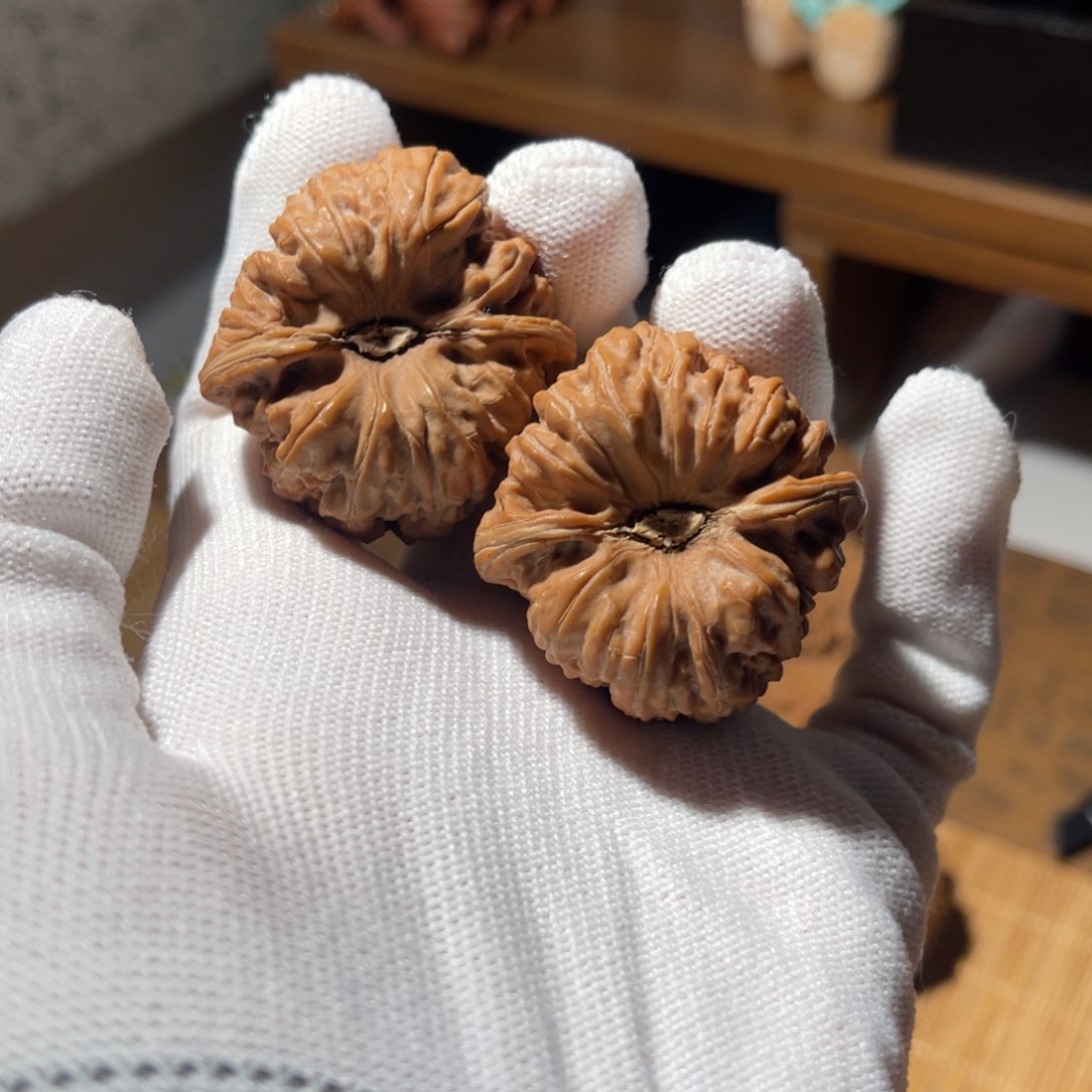 文玩核桃把件37 聚宝盆全品，不退不换