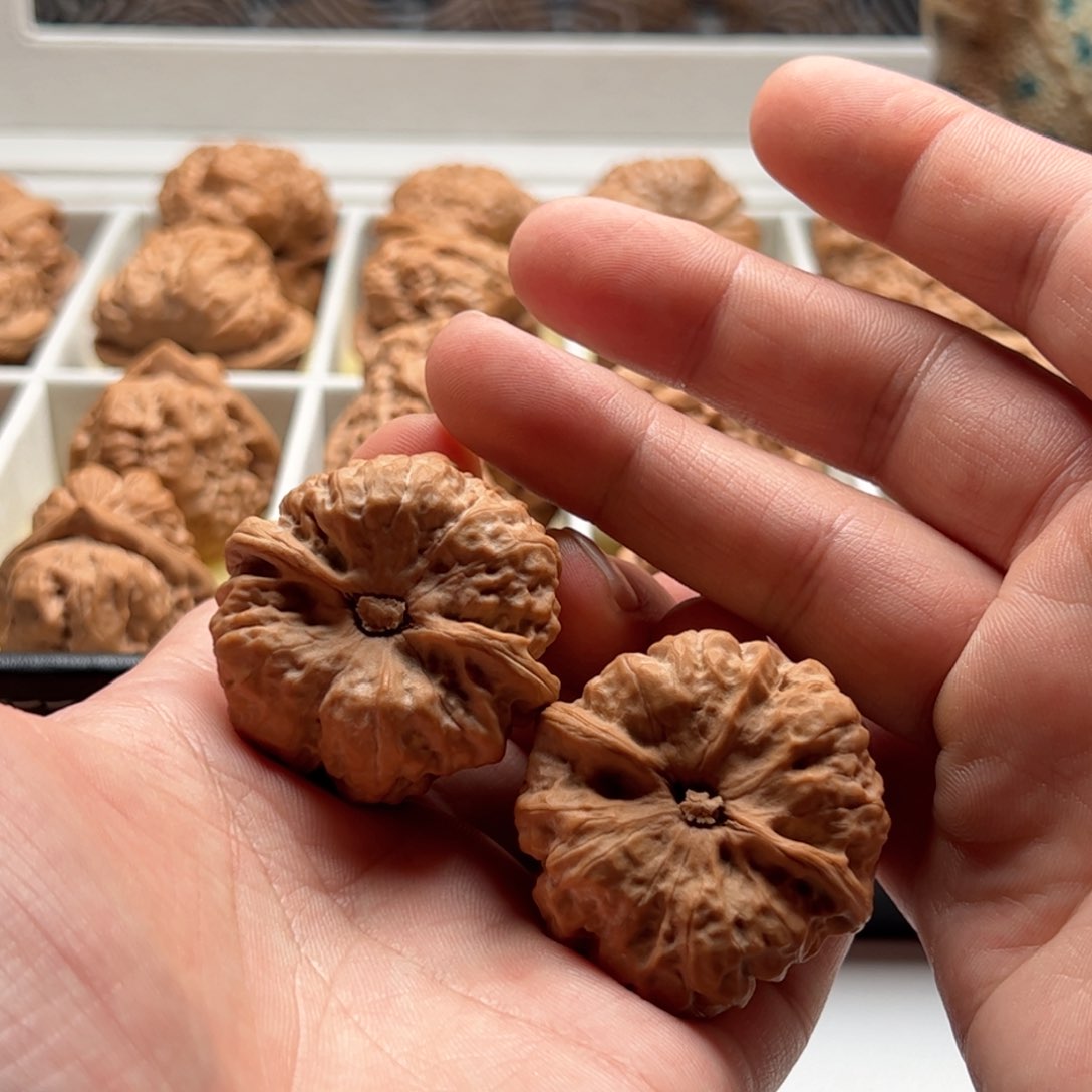 核桃把件延庆蛤蟆头