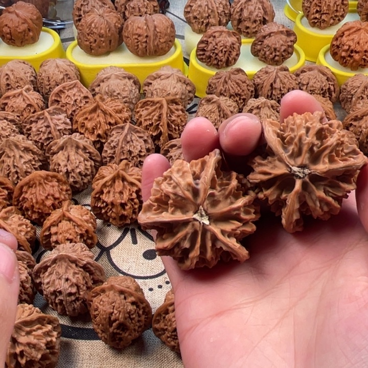 牛***牛桃核吊坠盘山三棱