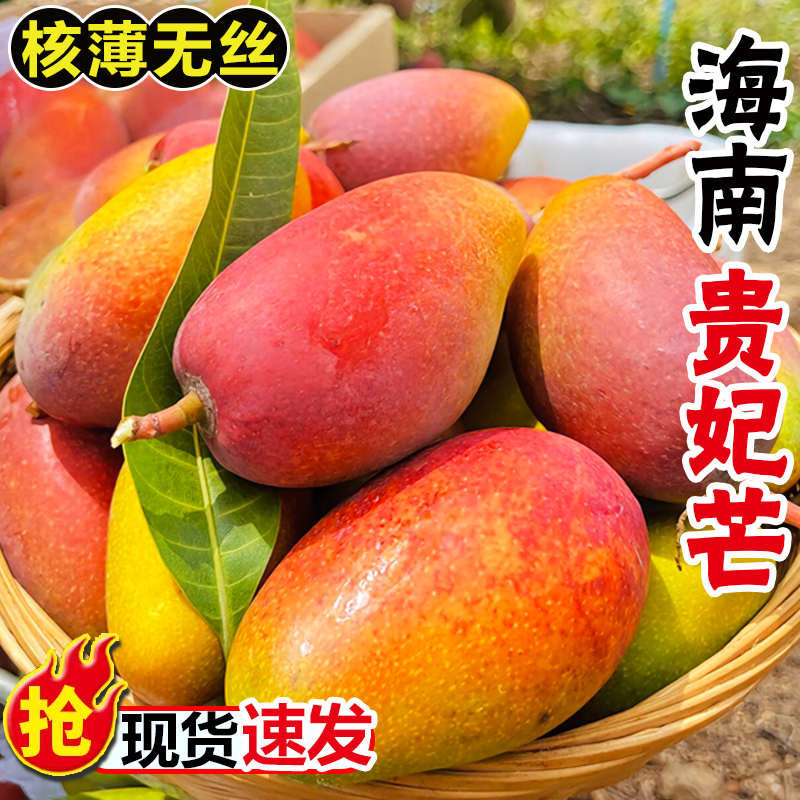 【放软食用】海南贵妃芒果5/9斤香甜爽滑肉嫩多汁新鲜应季热带水果
