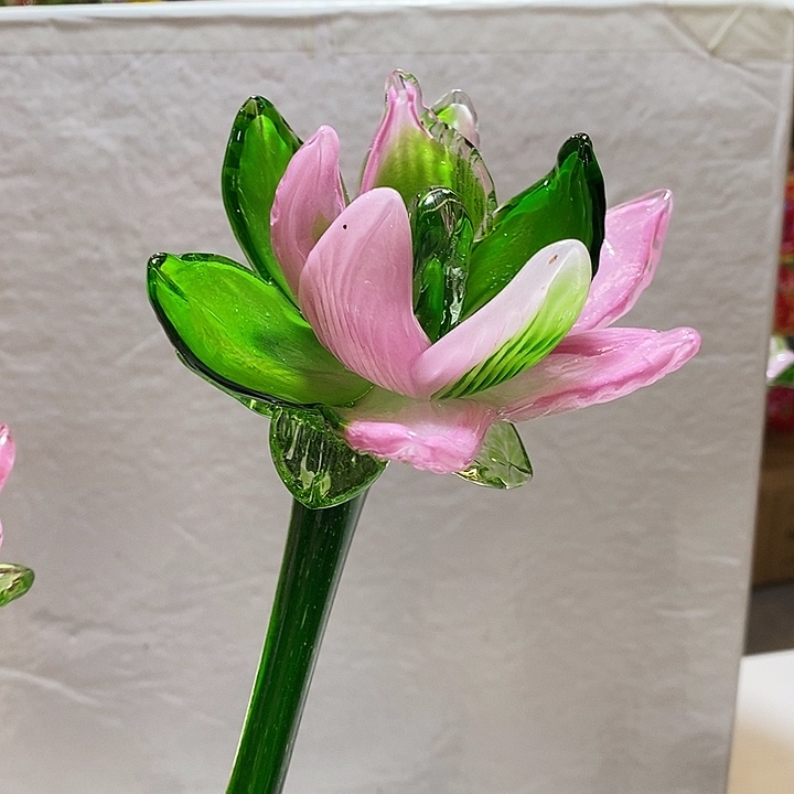 荷花高45厘米宽12厘米