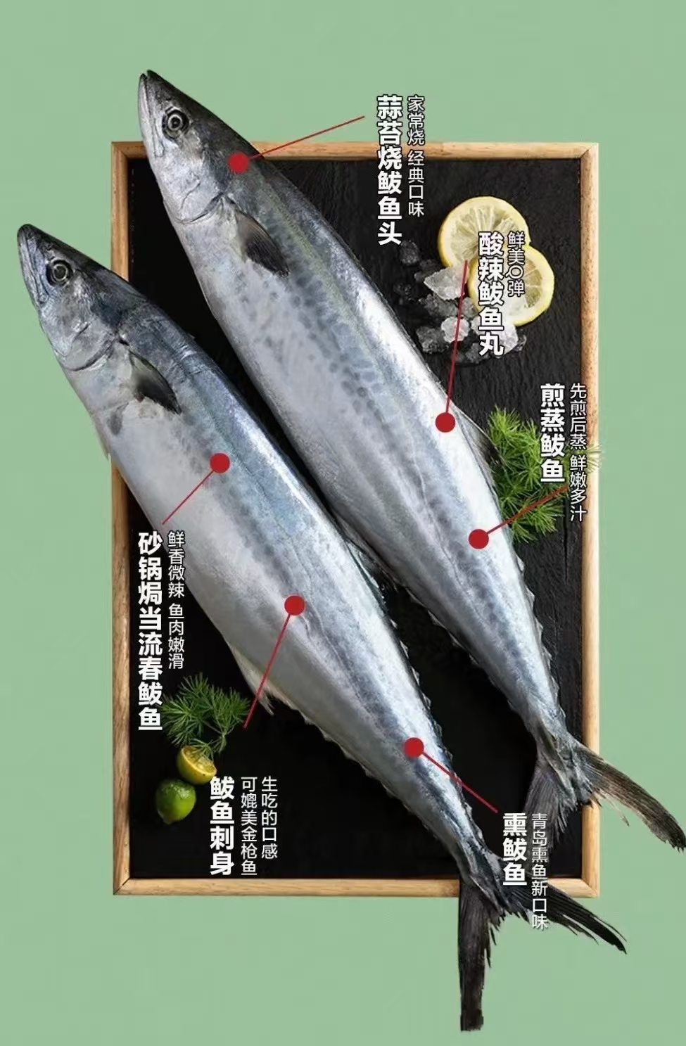 海捕野生燕尾鲅肉质鲜嫩品质好（收到货后需及时放冰箱）