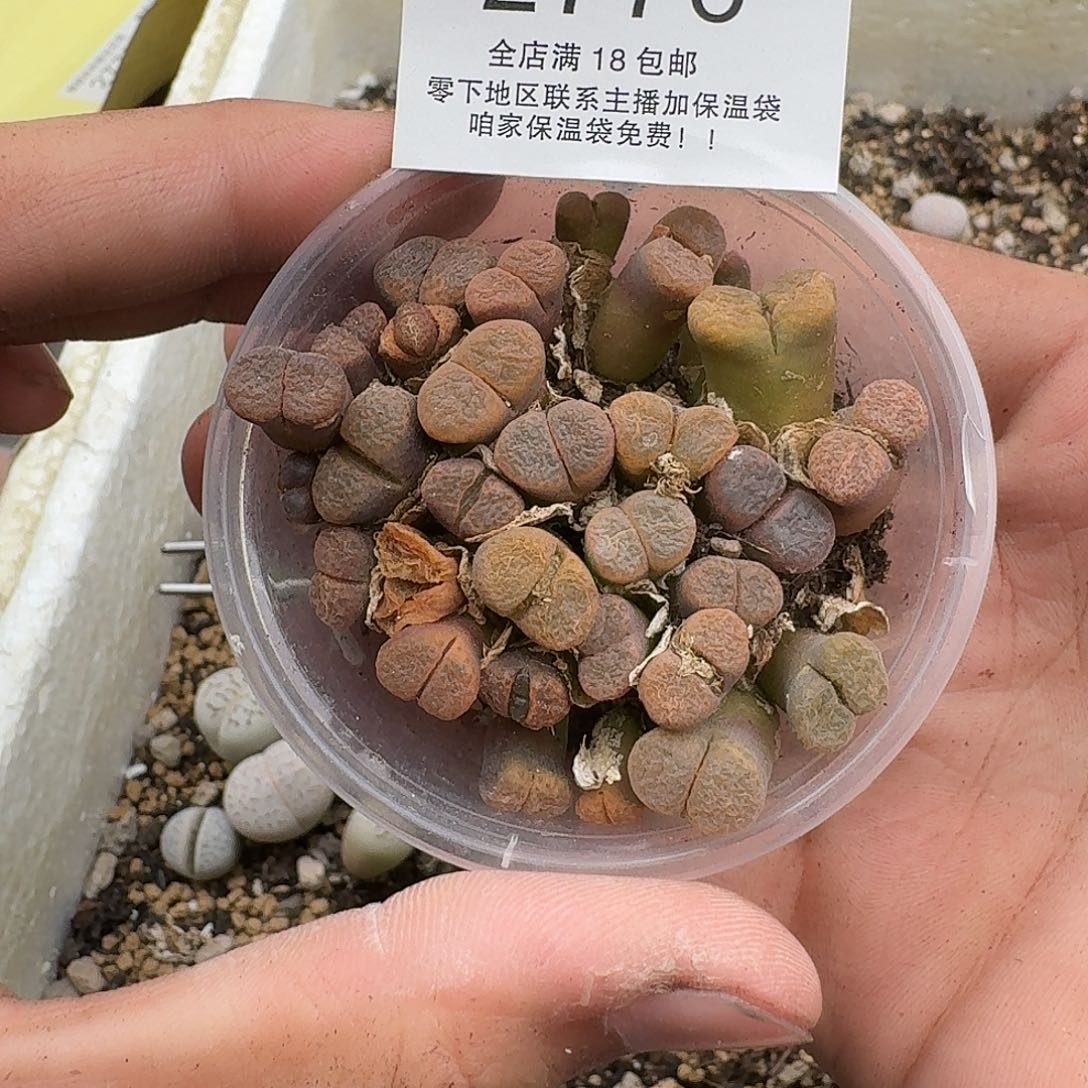 2776 哈哈哈哈哈哈哈哈哈哈