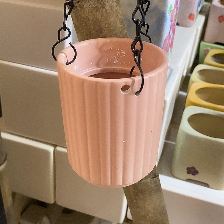 摆件多肉植物盆瑕疵有孔