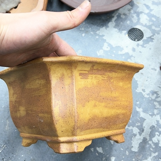 红陶紫砂花盆漂亮