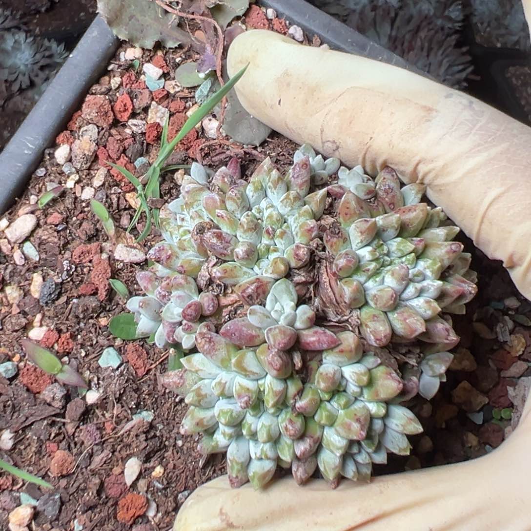 2776哈哈哈哈哈哈哈哈