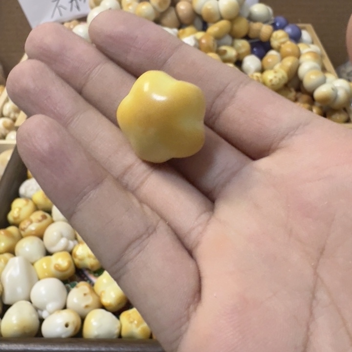 S***谷菩提根/象牙果吊坠