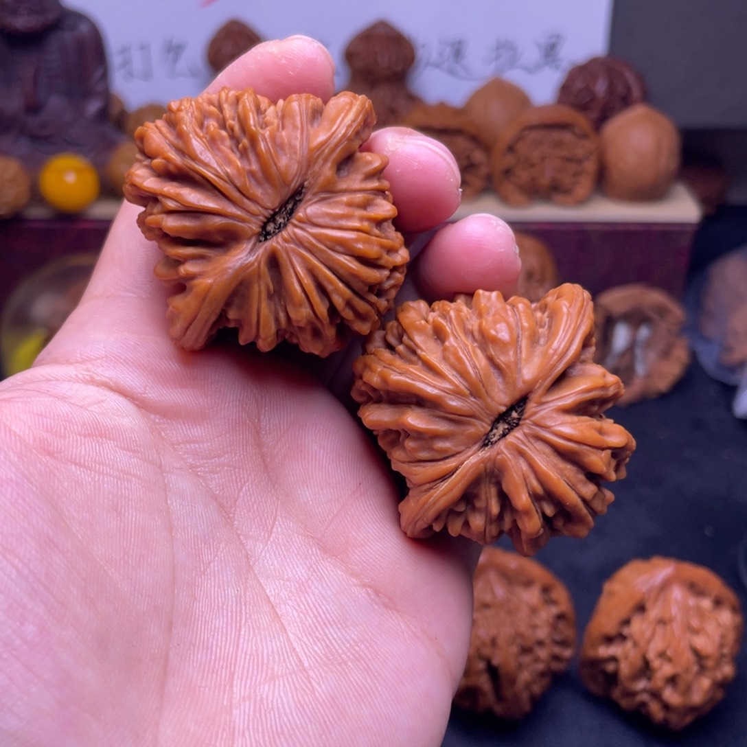 提***J手串桃核四座楼福利