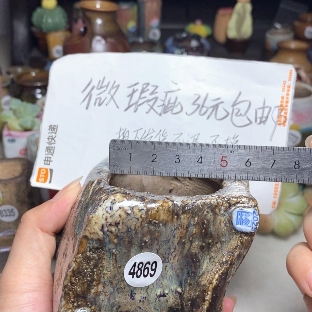 拍5送一个小礼物