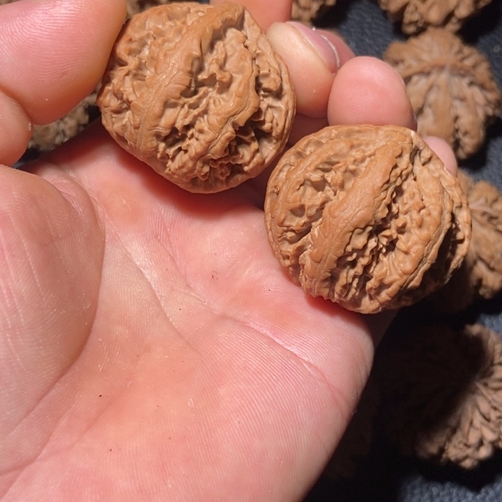 新***管文玩核桃把件秦岭野生文玩核桃