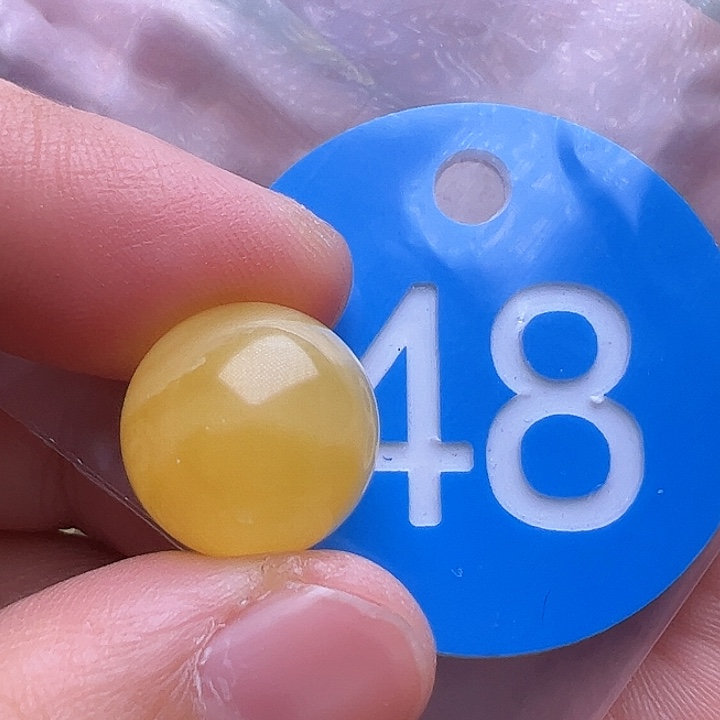 未镶嵌蜜蜡裸石13.5m m