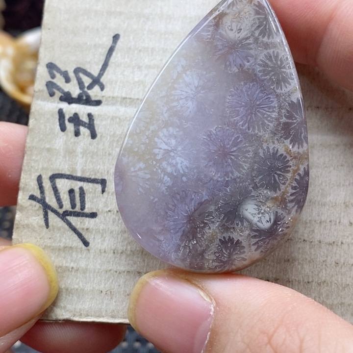 硅化珊瑚（珊瑚玉）颈饰未镶嵌