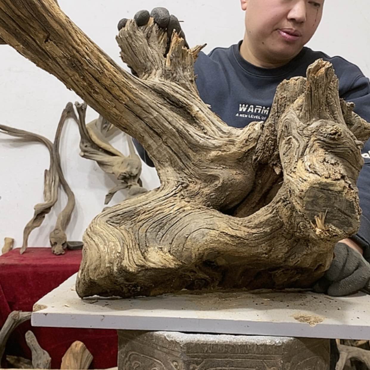 【闪购商品】柏木展****）我们都是好孩子