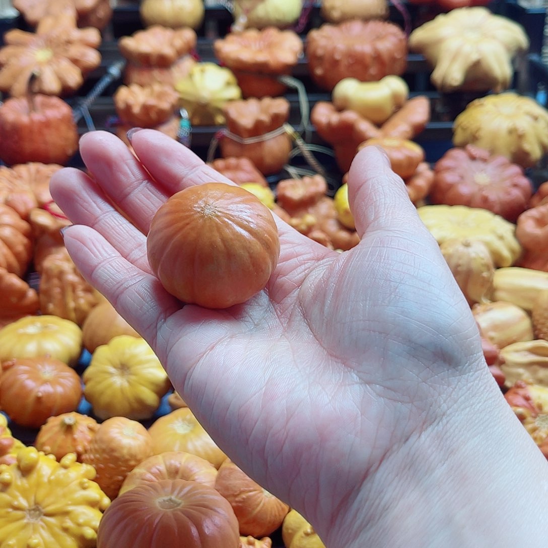 笑***开大叶紫檀（黑酸枝木类）