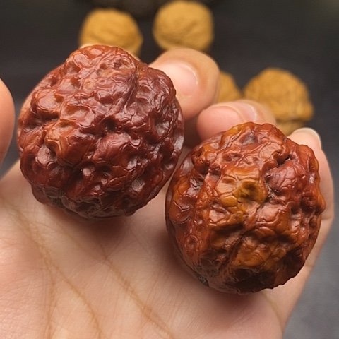 文玩核桃把件41尺至尊疙瘩