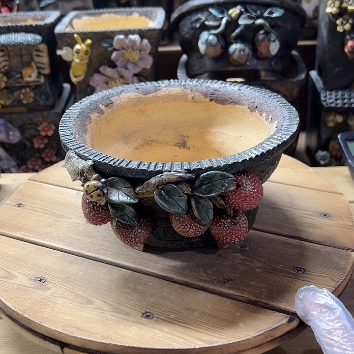 青藤多肉花盆百搭