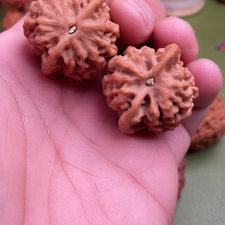 苍***穹橄榄核手串/手链34秦闷核桃核桃