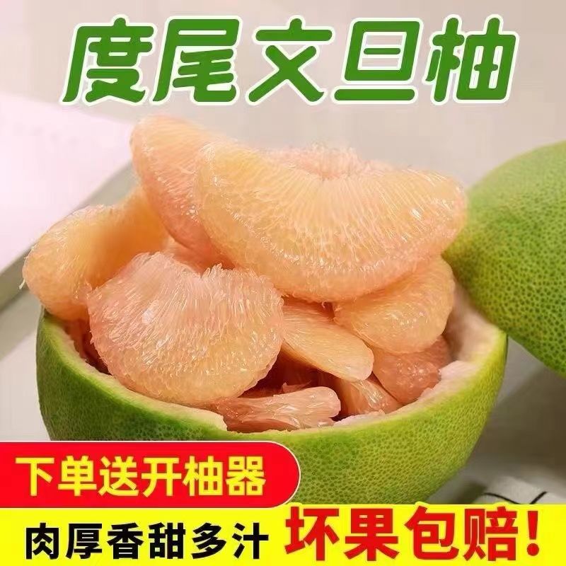 【特惠】老树正宗福建仙游度尾文旦柚子新鲜批发【有孔介意勿拍】