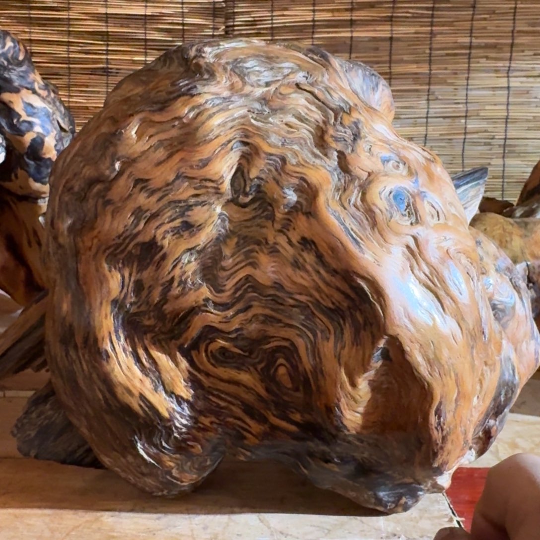 诗***个琥珀木北沉香琥珀木摆件定向链接71