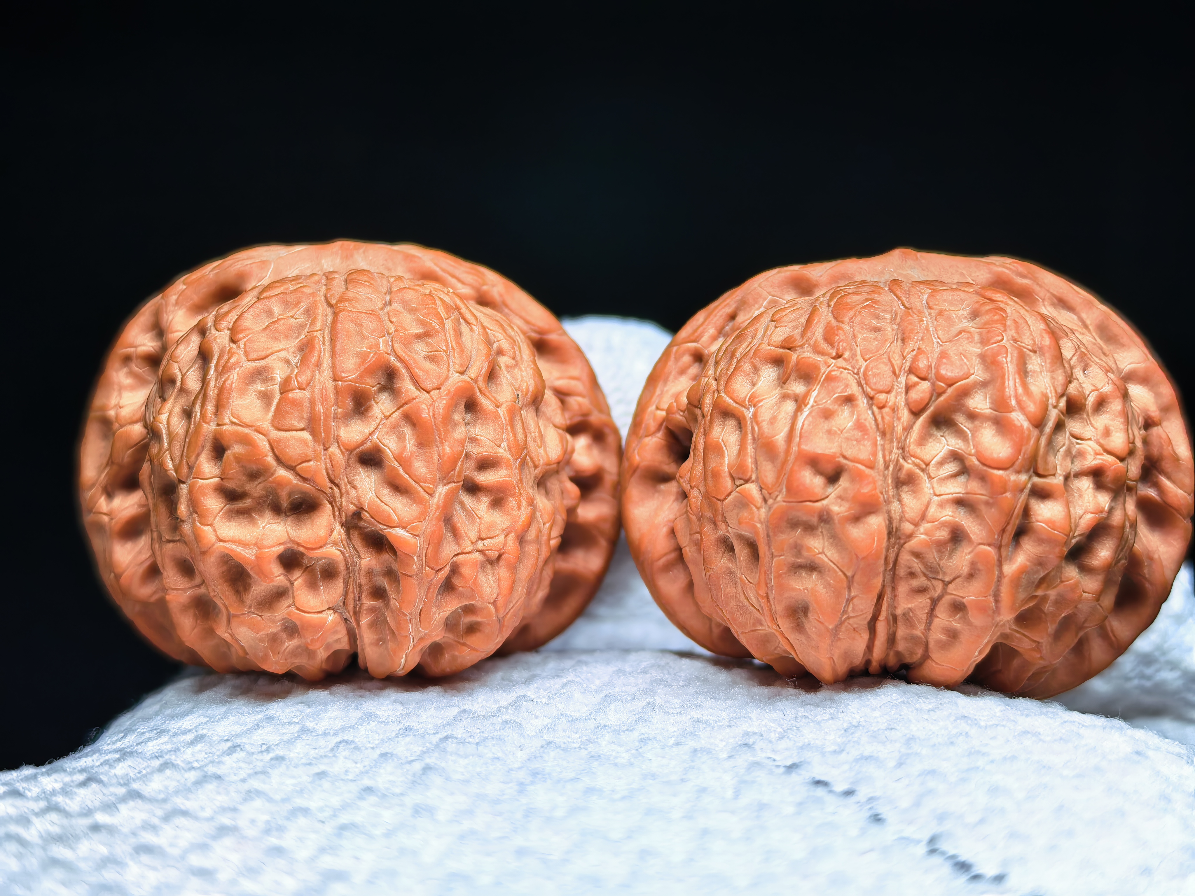 43尺全品白茬血麒麟