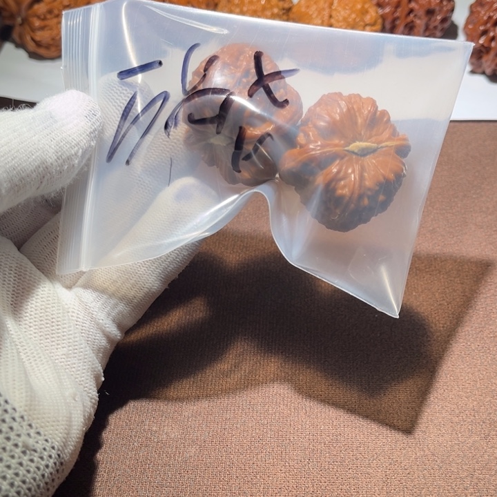 万***.精品白狮子三角白