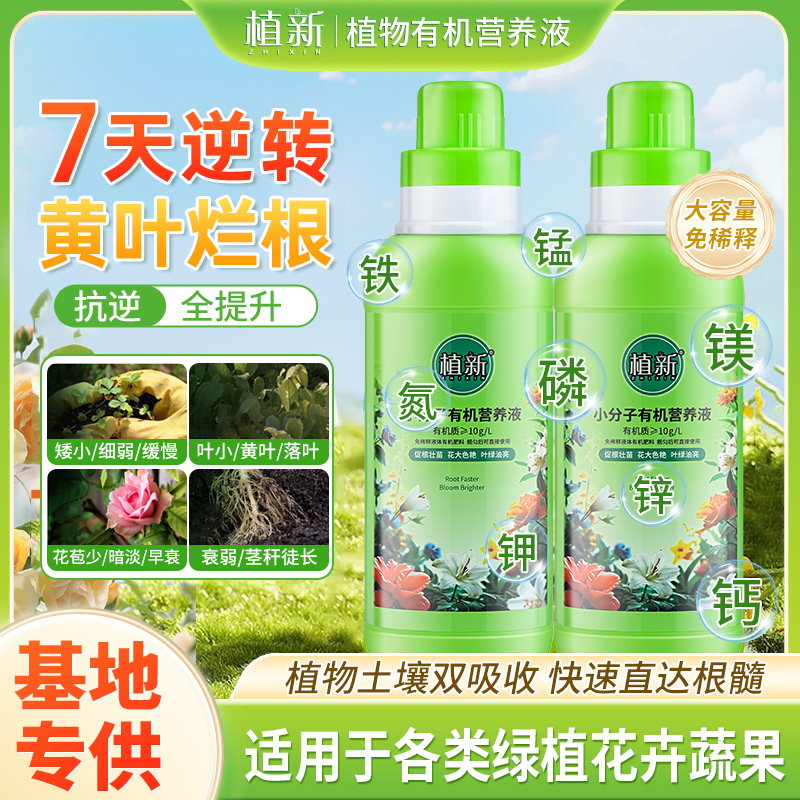 植新小分子有机营养液家庭园艺促进生长温和养护不伤根苗B商品图