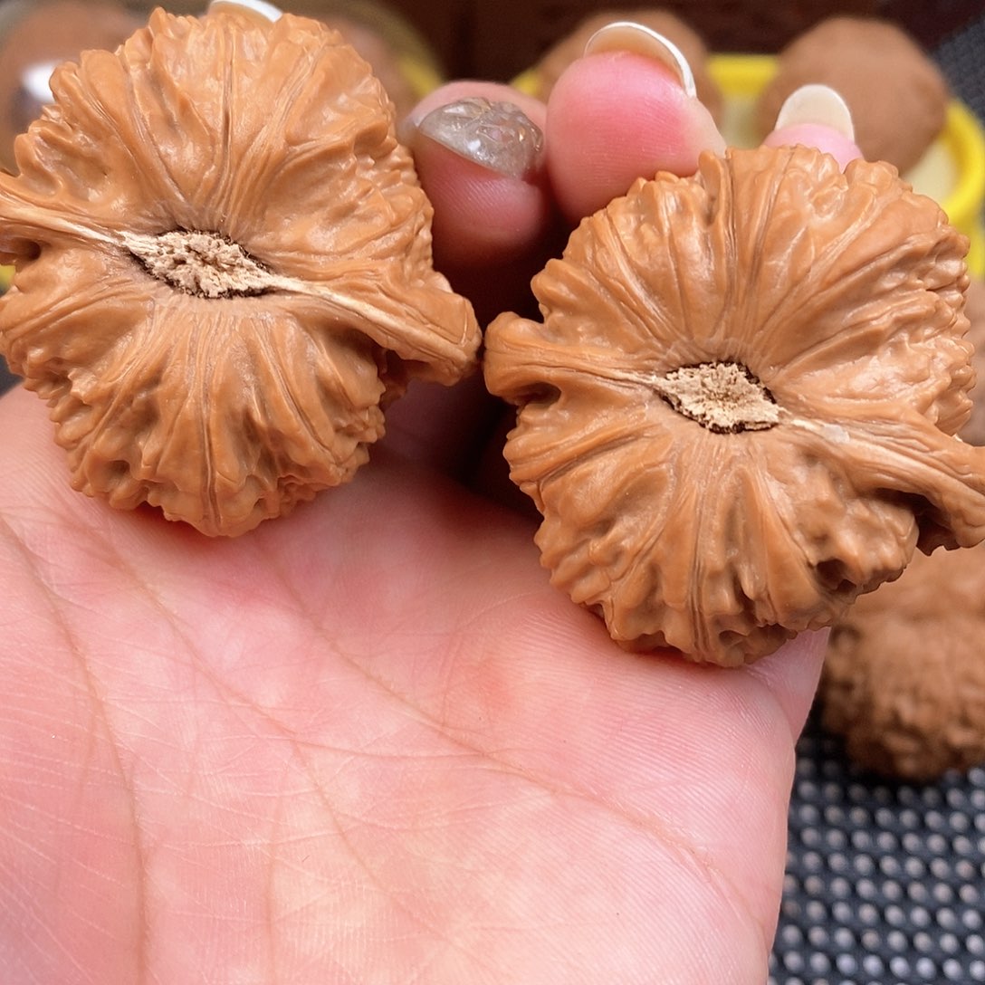 文玩核桃把件44尺白狮子全品