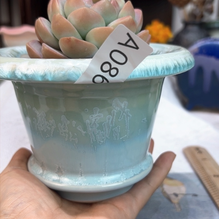 景德镇陶瓷研究所毒**瑰