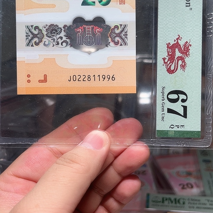 塑料龙钞啊啊啊啊啊啊啊啊