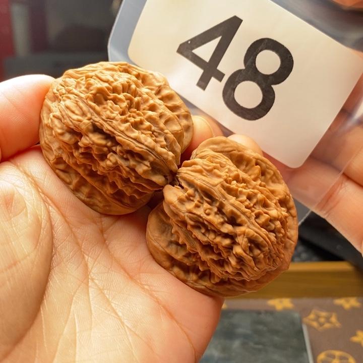 核桃48号，全品42尺四座楼