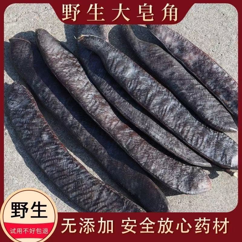 正宗野生大皂角精选无硫皂角皂荚皂角段皂角粉搭配侧柏叶