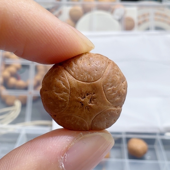 雨***凤眼菩提吊坠19mm五星85@2595