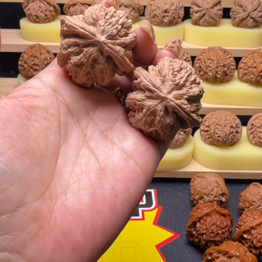 文玩核桃吊坠43尺粗筋