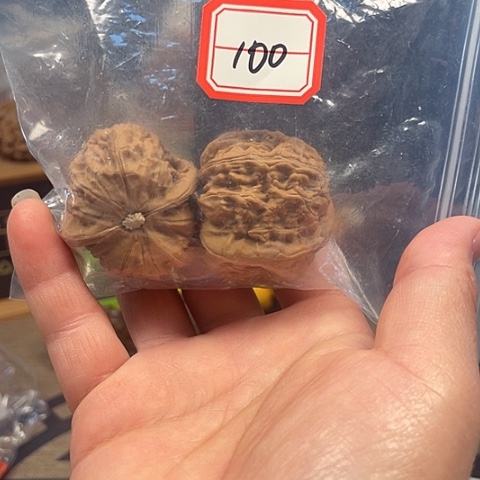 文玩核桃把件三角白38+