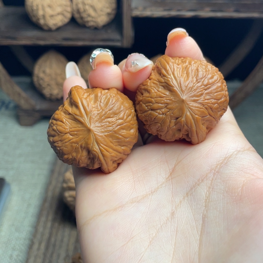 木质铁锤37 全品打底精配毕业红皮